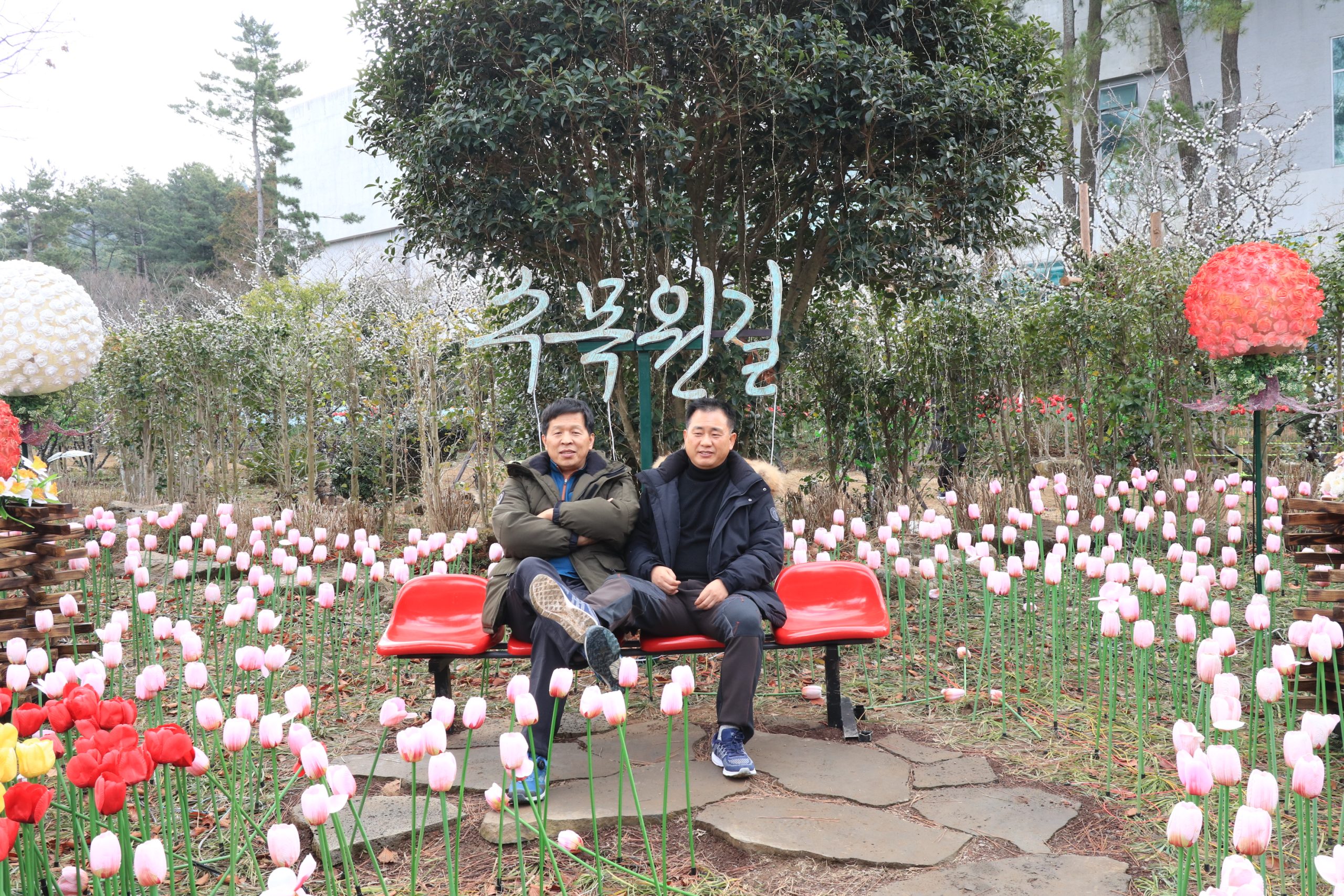 20180115122254_IMG_1423_1