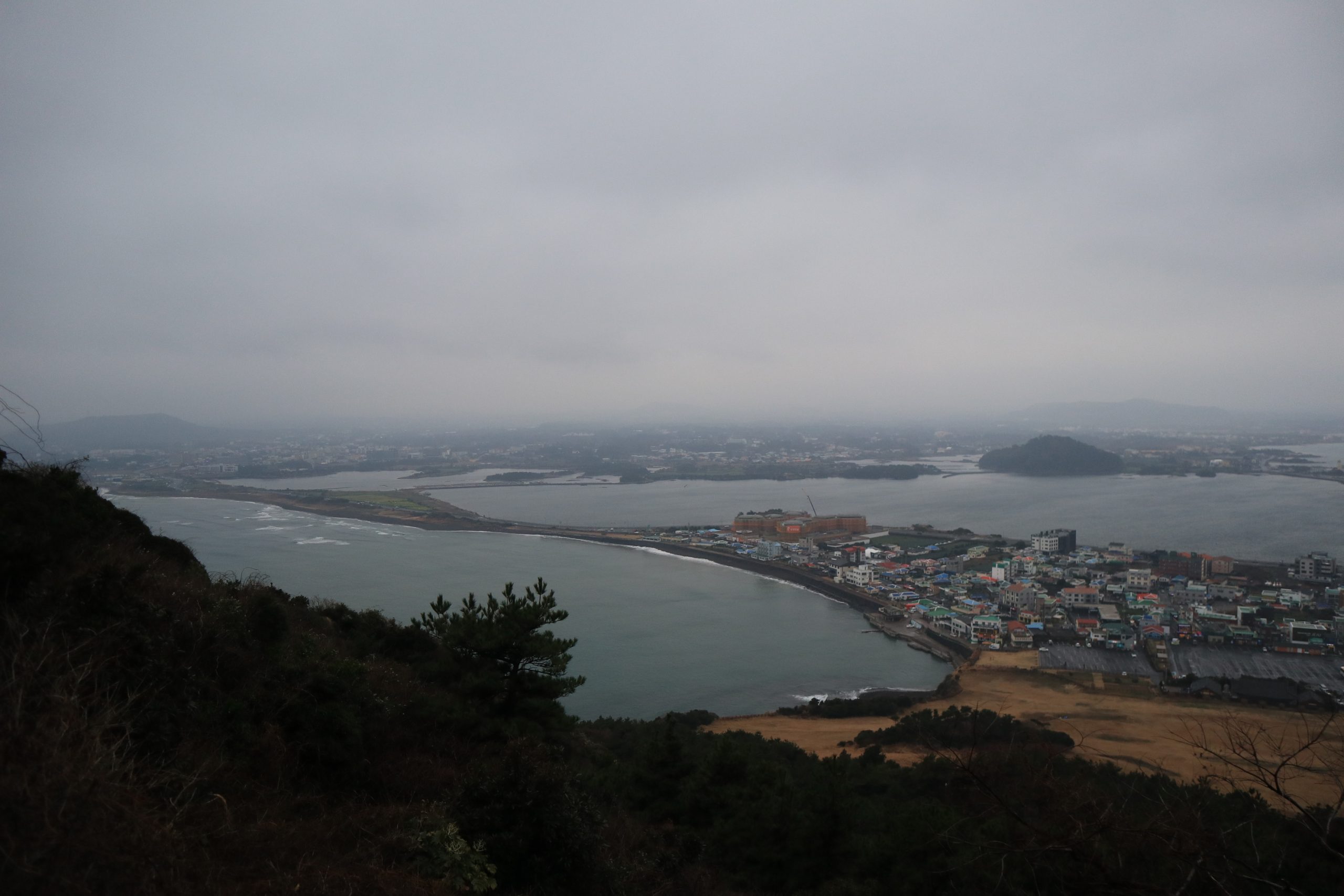 20180117094618_IMG_1555