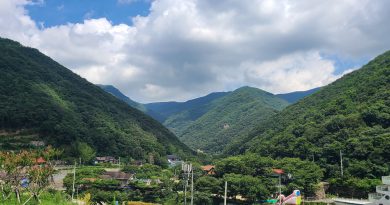 밀양 배내골 전경