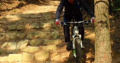 영산대 후문 돌계단