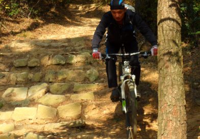 영산대 후문 돌계단